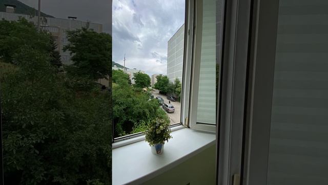 002 001 Кузнечная 2 смотреть онлайн