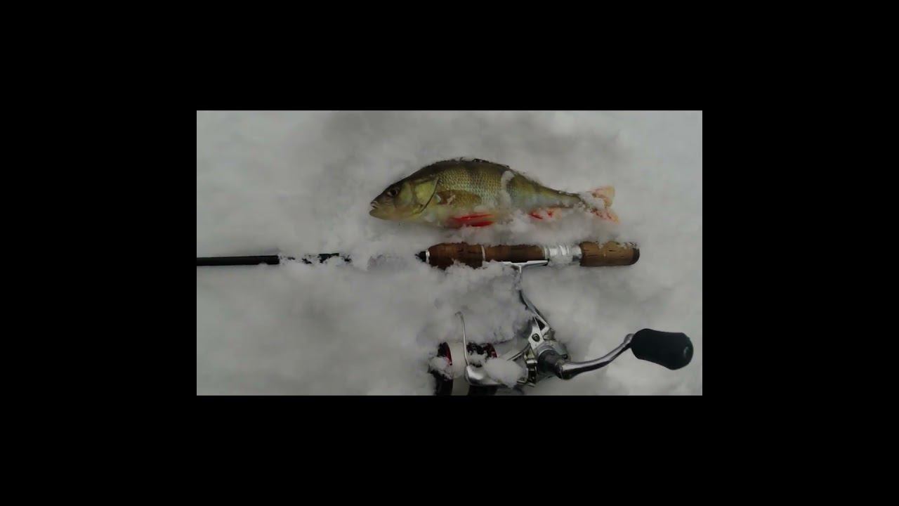 #мормышинг | Окуни на снегу | смотреть онлайн