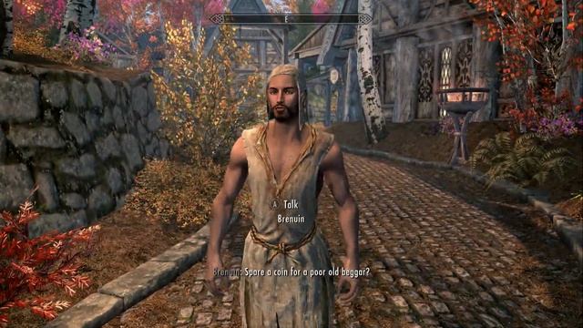 Skyrim (mod) - Porthos - Spotlight On: NPC Clothes Changer and Maintainer by Dudestia смотреть онлайн
