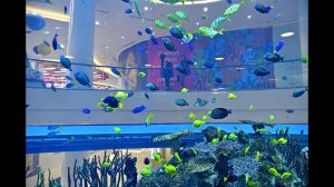 ТРЦ «Океания»: аквариум в 4 этажа с панорамным лифтом