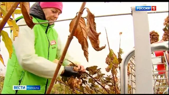 Зима в Самаре может преподнести сюрпризы дачникам смотреть онлайн