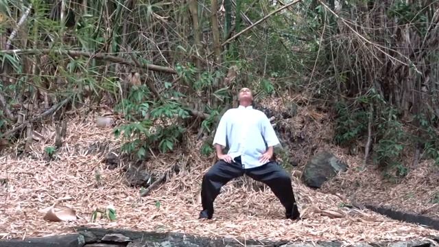 Les 8 pièces de brocart Eight pieces of brocade смотреть онлайн