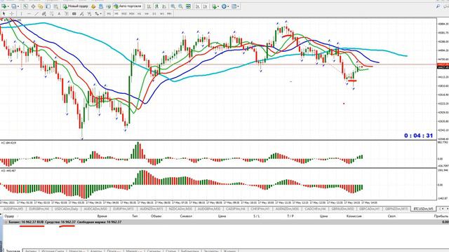 Торговля на Форекс по Б.Вильямсу "Торговый Хаос" смотреть онлайн