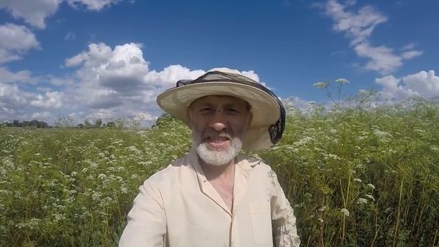 ЧТО ЗА МЕДОНОС ? смотреть онлайн