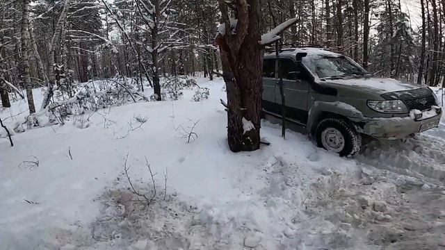 Уаз Патриот подвинул дерево Ищем где в лесу празднуют Устроили триал в лесу смотреть онлайн