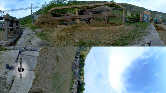 Butuceni, Moldova. Ослики 2019-06-15 18:21. 360 Huawei camera смотреть онлайн