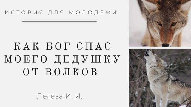 Интересная история для молодежи | Как Бог спас моего дедушку от волков, Легеза И. И. смотреть онлайн