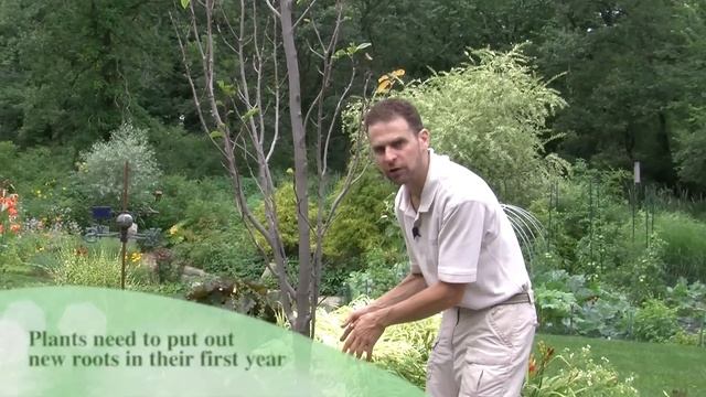 Problems with newly planted trees смотреть онлайн