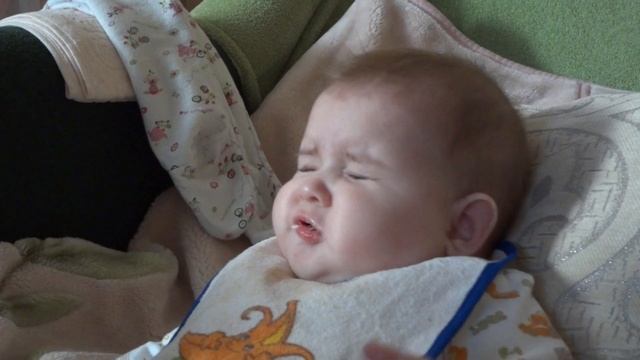 учитесь, как надо кушать творог. смотреть онлайн