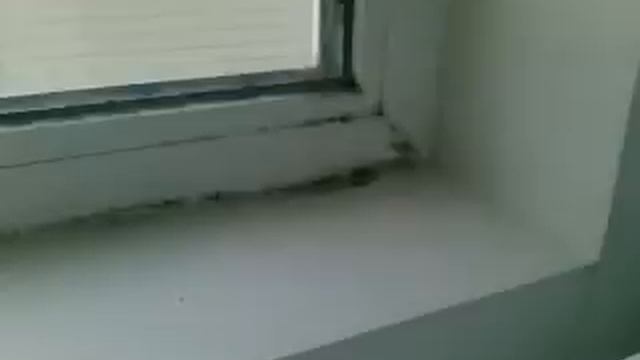 Как не надо строить чистые помещения смотреть онлайн