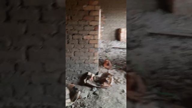 ДОМ. КРАСИВЫЙ ПРОЕКТ. ЭРКЕРНЫЙ ДОМ. РЕМОНТ. СТРОИТЕЛЬСТВА ДОМА. смотреть онлайн