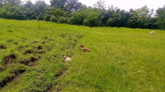 Где находиться