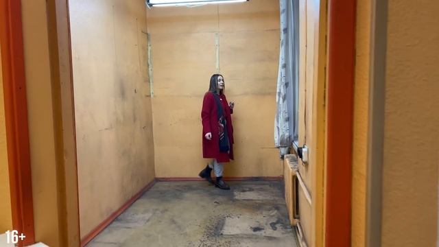 Купили БЫВШУЮ ДВОРНИЦКУЮ на Петроградке! СКОЛЬКО стоит? ЧТО Внутри? Можно ли там ЖИТЬ? смотреть онлайн