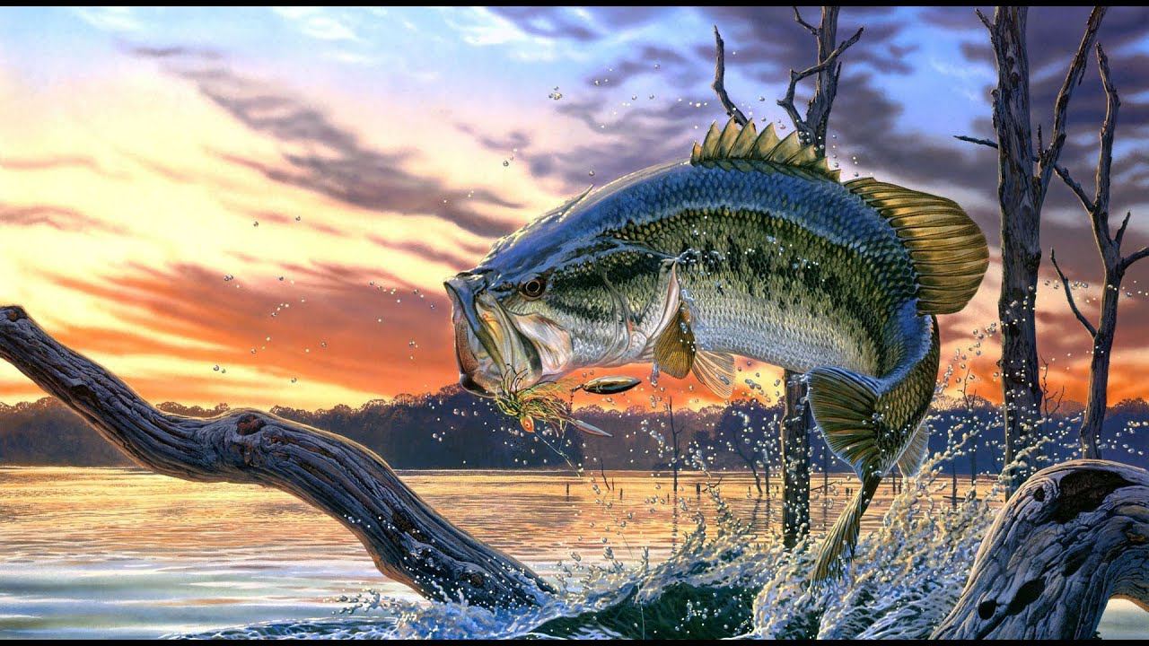 Call of the Wild: The Angler - Рыбалка 2022 #3 Путь к топовым снастям смотреть онлайн