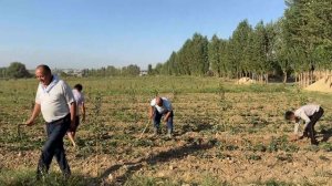 Как живут казахи в Узбекистане. КАЗАХСКИЙ АУЛ. Готовим БЕШБАРМАК ! Asmr. Сельская жизнь.