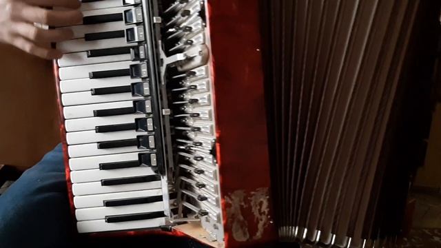Indifference Akkordeon - Accordion - Akordion - Akordeon - Аккордеон - акордеон
