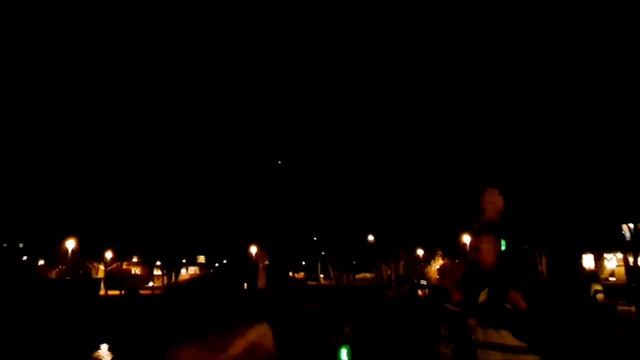 Alingsås lighting show on tree's, Alingsås, Sweden ?? смотреть онлайн