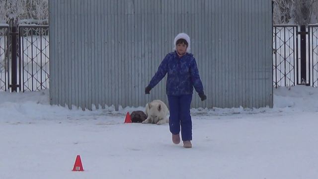 Саша и Ланц испытания