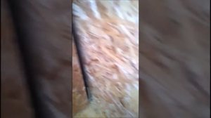 Обшивка балкона OSB 3 плитами, часть 1