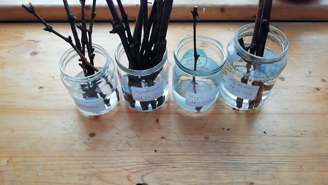 Кильчеватор не нужен! смотреть онлайн