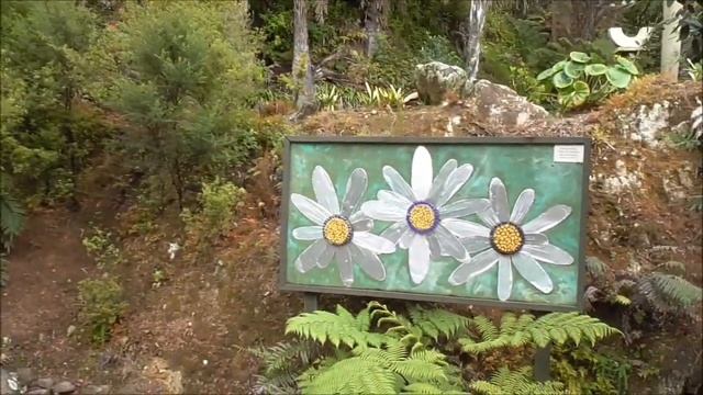 Осень 2021 New Zealand, Tauranga смотреть онлайн