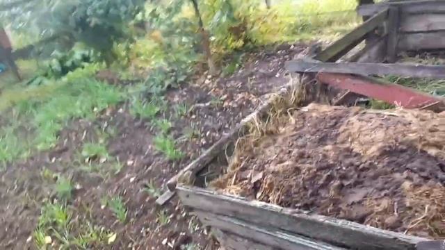 17 сентября. Выкопали монтбрецию, кот ходит за мной, обзор огорода смотреть онлайн