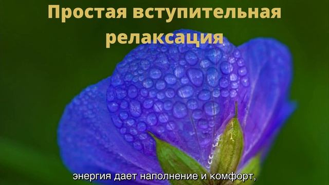 Простая вступительная релаксация смотреть онлайн