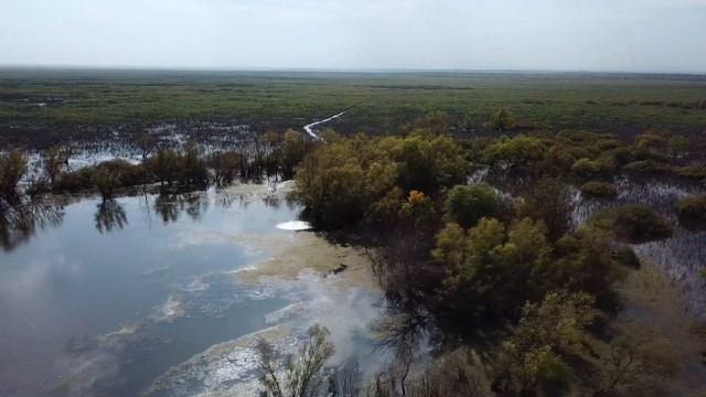 Шапсугское водохранилище. Вернее то, что на его месте сейчас... смотреть онлайн