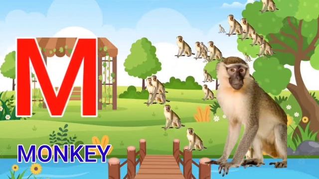 Phonics Song with one Word in 3D - A for Apple - ka se kabutar - Alphabet Songs #kidssong смотреть онлайн