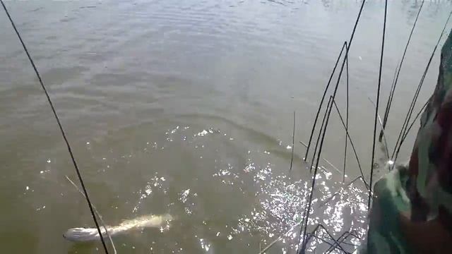 Рыбалка на Акатовском озере смотреть онлайн