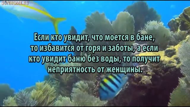 К чему снится Баня сонник, толкование сна