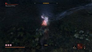 SEKIRO - ВОДЯНАЯ ОРИН - Прохождение, как победить, тактика