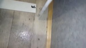 Обработка дома от двухвосток жесть. Жуть. Делайдобродез. Рф