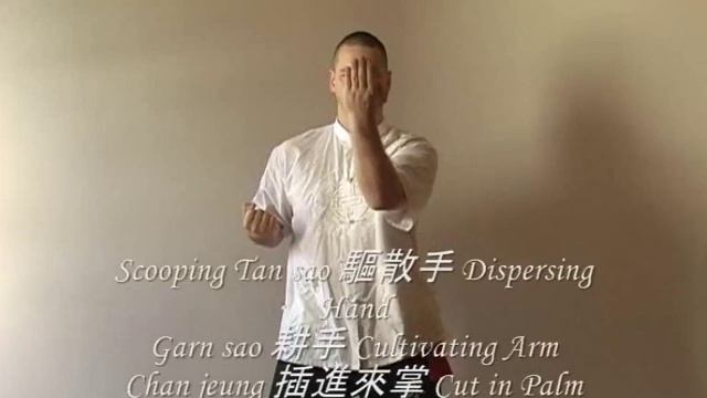 Shil Lim Tao 1st form performed by Sifu Julian de Boers. смотреть онлайн