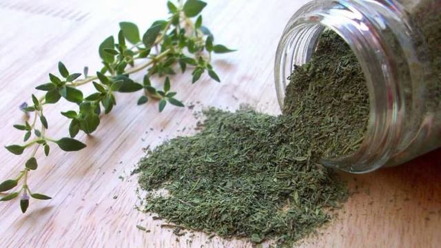 Полынь горькая: лечебные свойства, польза и вред смотреть онлайн