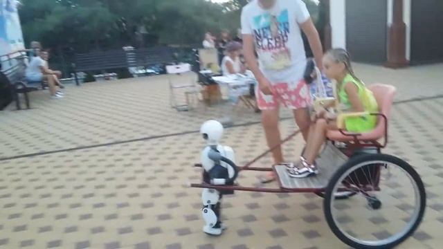 Развлечение в Геленджике рядом с дельфинарием 19 августа 2017 смотреть онлайн