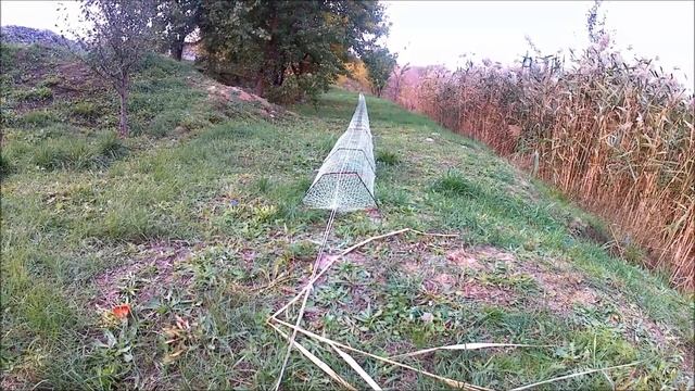 Лучшая самодельная раколовка Шахта Обзор