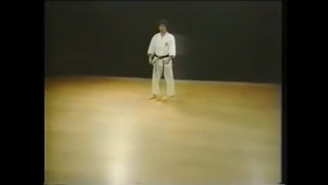 Ката ; Хейан Ёдан, Шотокан каратэ, Хирокадзу Канадзава/Shotokan Karate, Kata Heian Yondan - Kanazaw смотреть онлайн