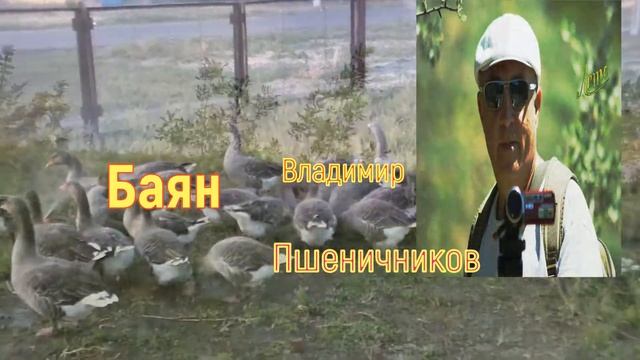 "Ой, вы гуси, вы серые гуси" смотреть онлайн