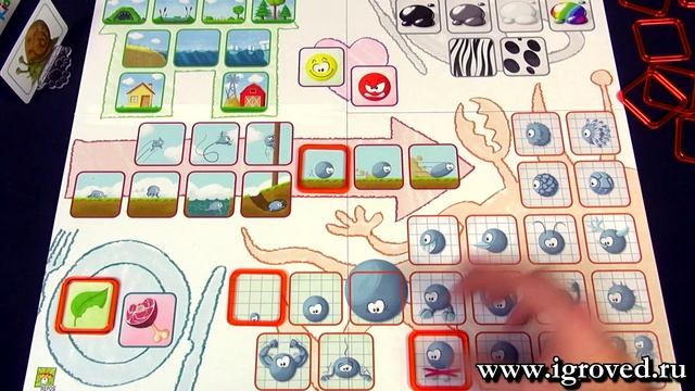 Концепт для детей: Животные. Обзор настольной игры от Игроведа смотреть онлайн