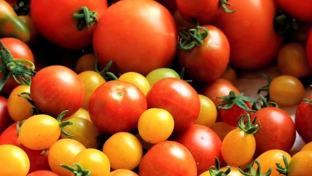 Многие едят ПОМИДОРЫ, но 90% даже не знают о том, ЧТО ТВОРЯТ ПОМИДОРЫ С ОРГАНИЗМОМ...Польза и вред. смотреть онлайн