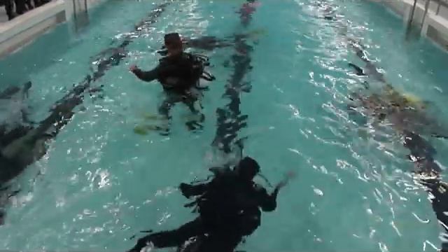 ВПК" Голубые береты ДОСААФ России Панда"(водолазная подготовка) смотреть онлайн