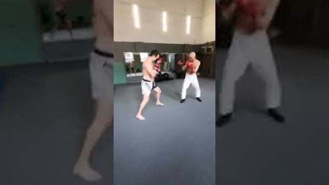 дзю-дзюцу (джиу-джицу)