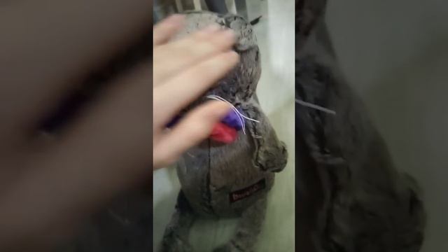 Самый лучший день после школы💋❤️❤️🐈