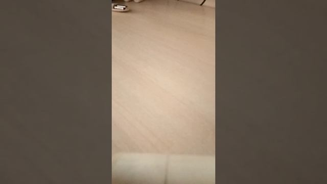 как отодрать жвачку с кожи?? смотреть онлайн