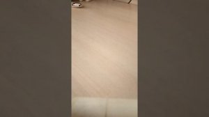 как отодрать жвачку с кожи??