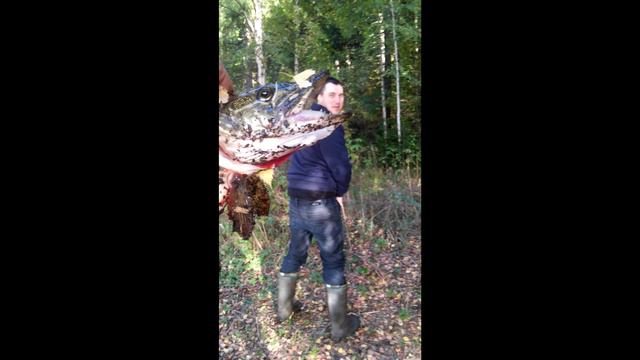 СМОЛИЧИ смотреть онлайн