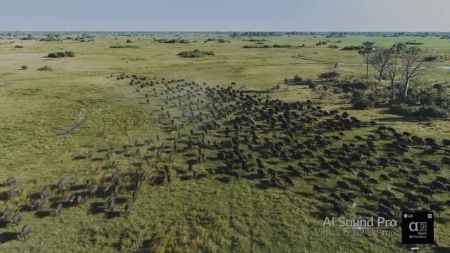 LG TV met α9 Gen4 AI Processor kopen met laagstep rijs смотреть онлайн