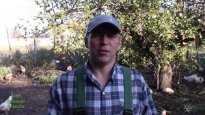 ЧТО СДЕЛАТЬ ЧТОБЫ ОТУЧИТЬ КУРИЦУ СИДЕТЬ НА ЯЙЦАХ//МОЯ ЛЮБИМАЯ УСАДЬБА