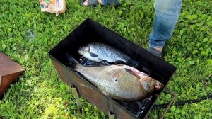 Горячее копчение рыбы.